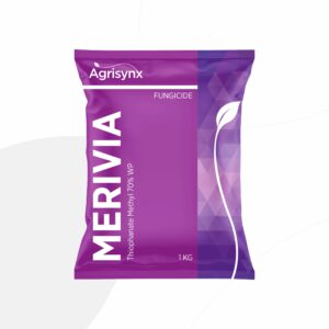 MERIVIA
