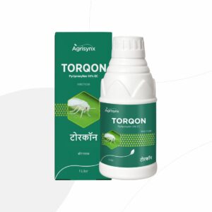 TORQON