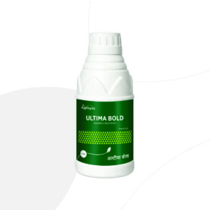 ULTIMA BOLD